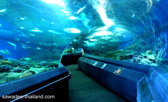 Pattaya Aquarium