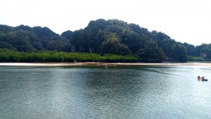 Blick auf die Felsen Insel und Mangroven in der Mitte der Flussmündung an der Talane Bay